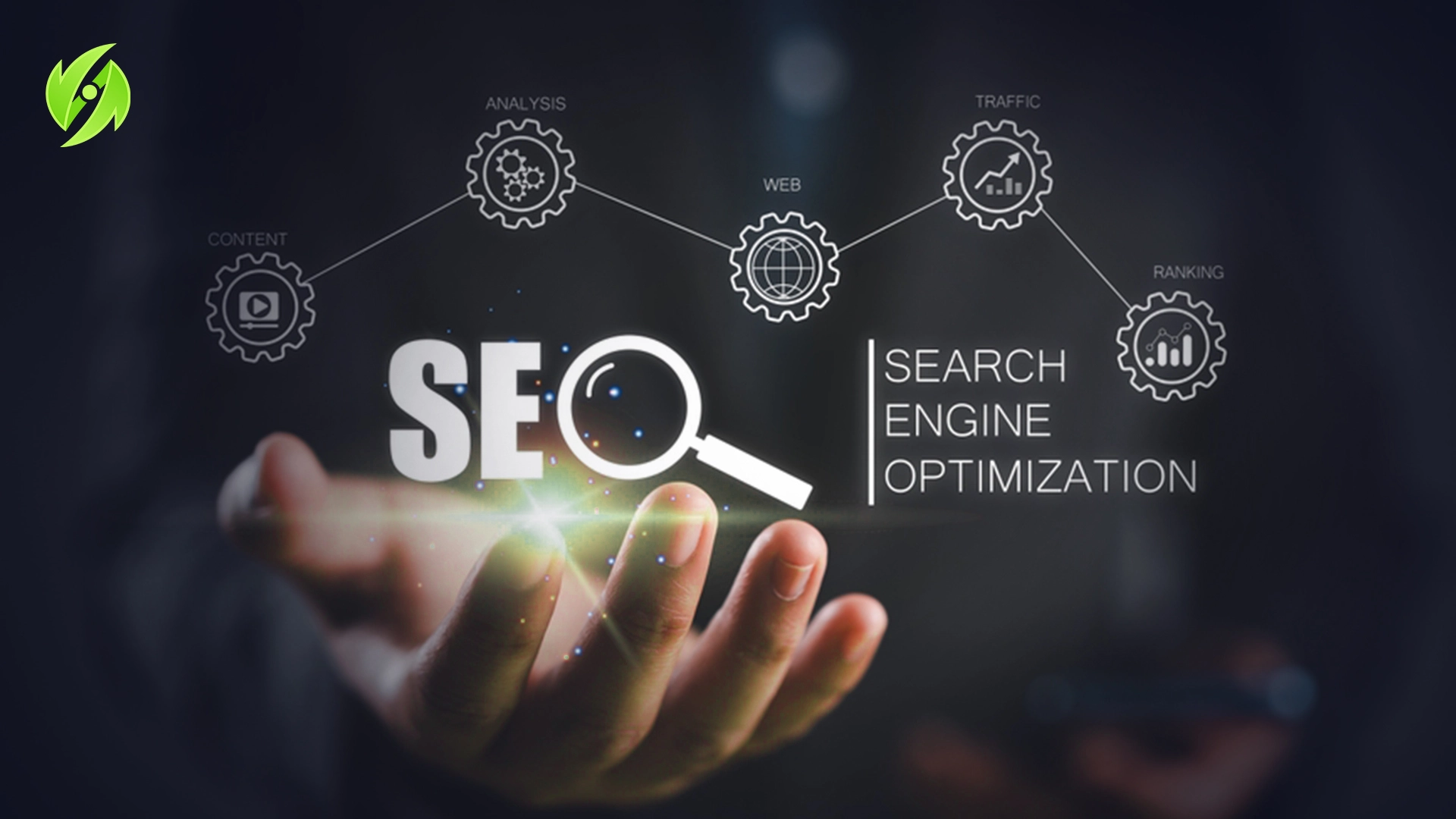 افضل شركة سيو